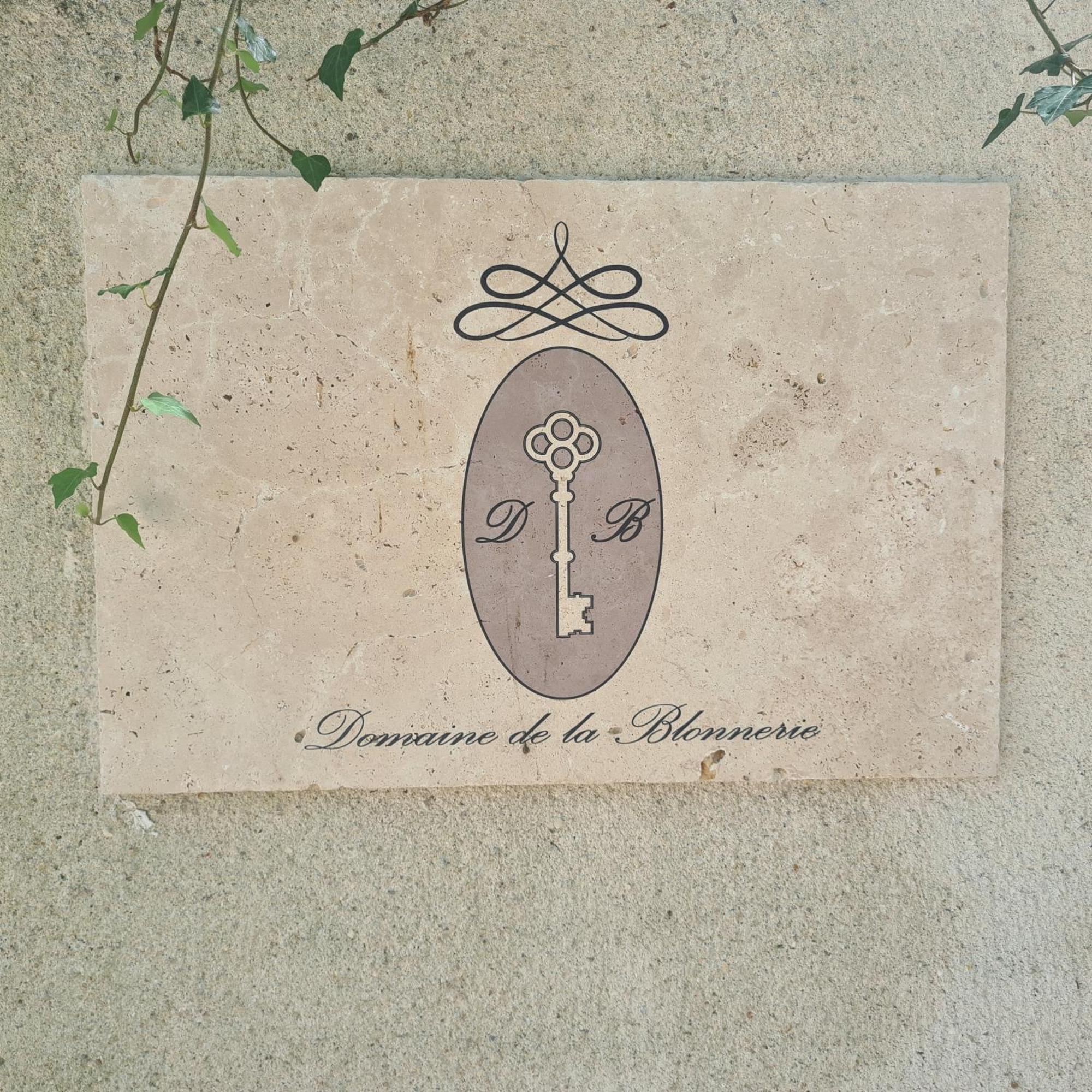 Bed & Breakfast Domaine De La Blonnerie Feings (Loir-et-Cher)