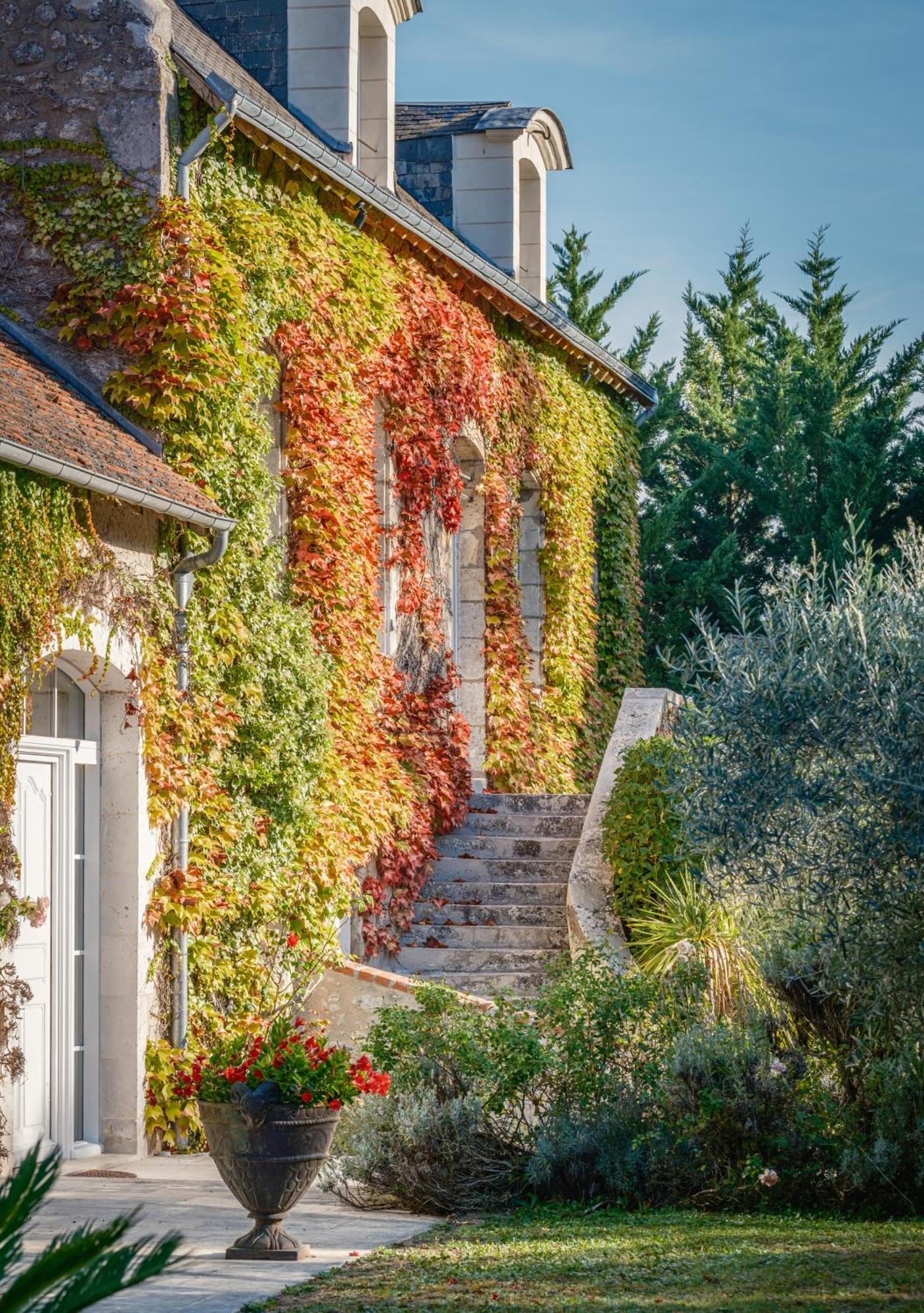 Domaine De La Blonnerie Feings (Loir-et-Cher)